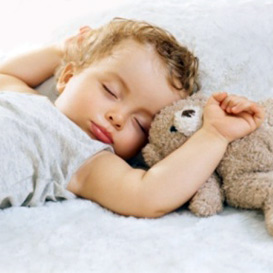 dormikind